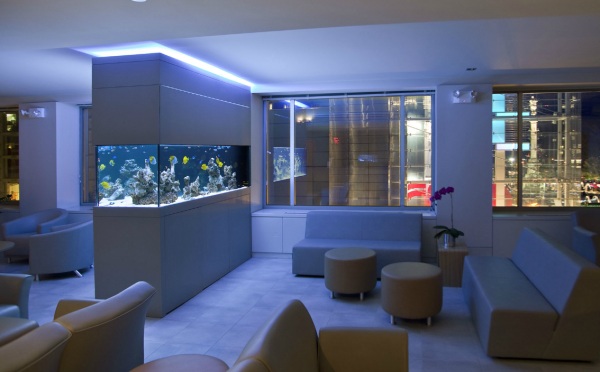 Aquarium Nacht modern Möbel