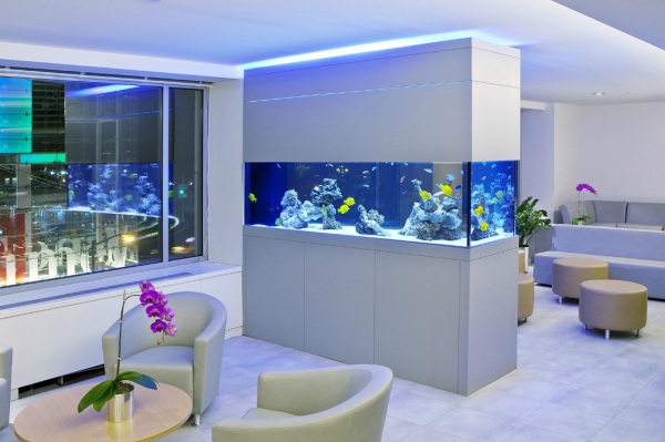 Aquarium Wartezimmer modern