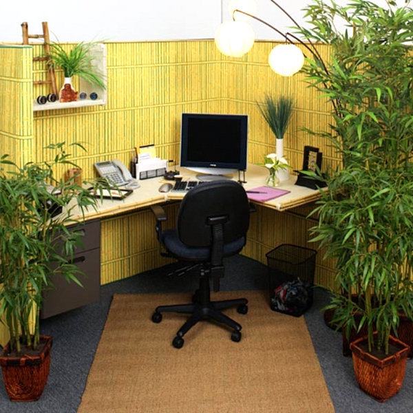 Arbeitsplatz Bambus gelb Pflanzen Schreibtisch Computer