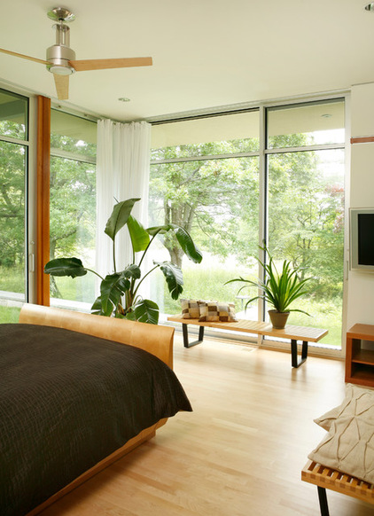 Schlafzimmer Pflanzen Bett Holzboden Fenster