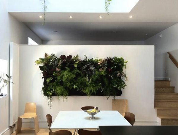 grüne living wall installationen deko pflanzen an der zwischen wand