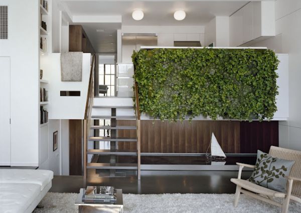 grüne living wall installationen drei stufen wohnung