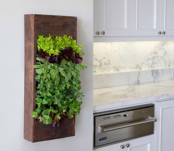grüne living wall installationen küche marmor kräuter dekoration