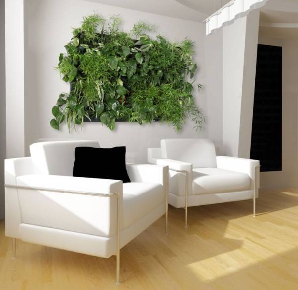 grüne living wall installationen zwei weiße sessel