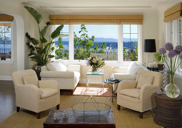 traditionell weiß Sofas Couch Topfpflanzen modern Paradiesvogelpflanzen