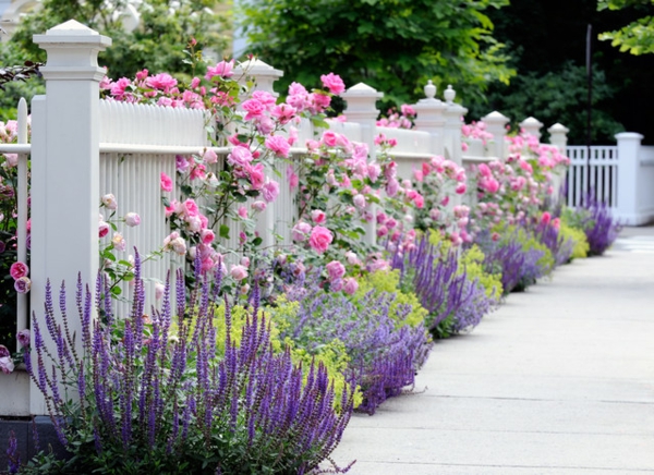 Ideen für die Gartengestaltung landschaft rosa lila