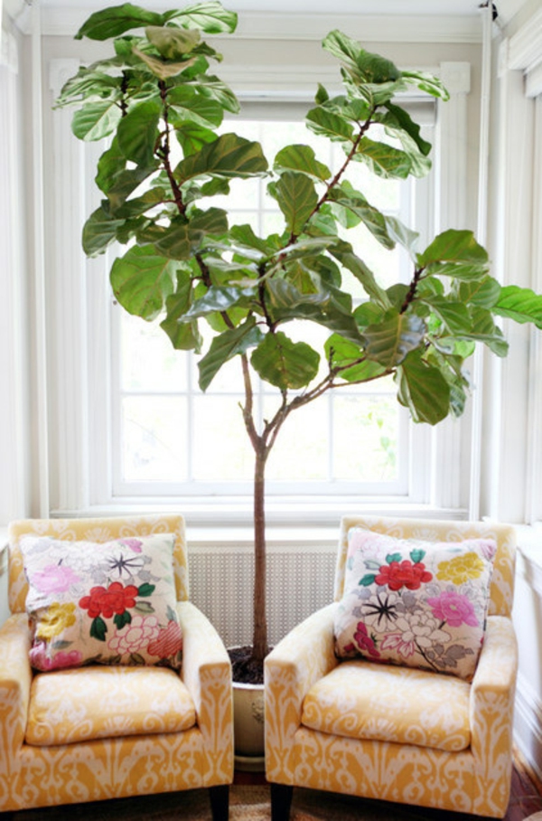 Pflanze als Dekoration traditionell sofas