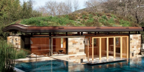 tolles natur dach design mit großem pool
