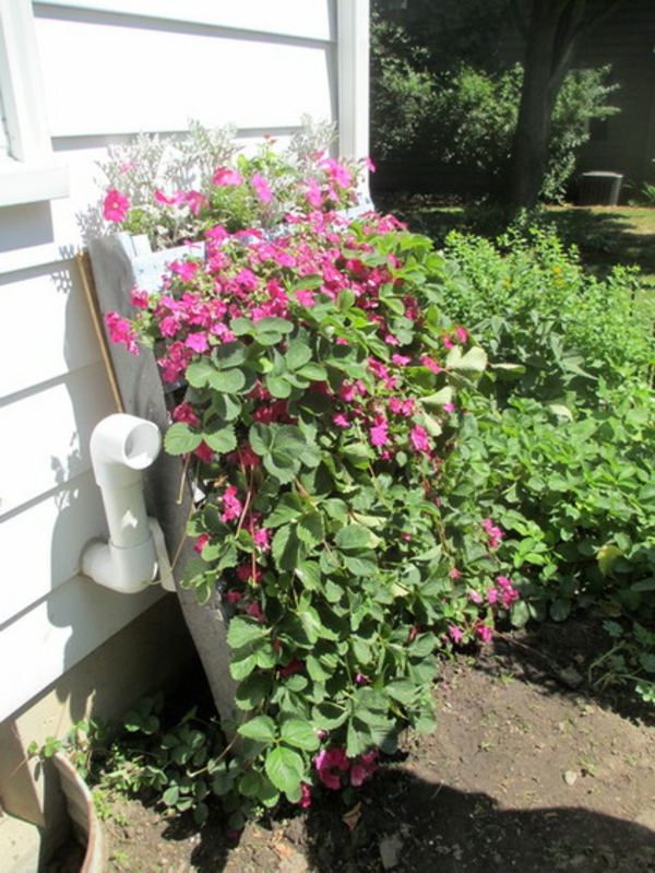 Heimwerker Ideen für Ihren Garten pflanzen rosa