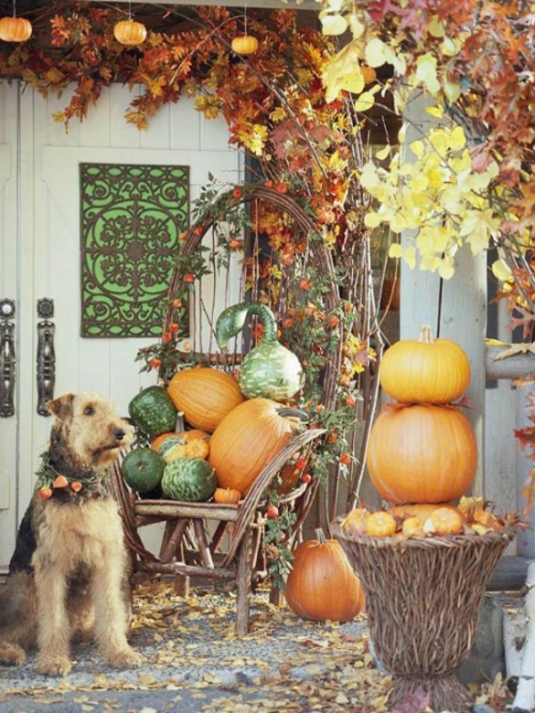 Herbst Dekoration ideen Veranda tür kranz kürbisse blumen hund