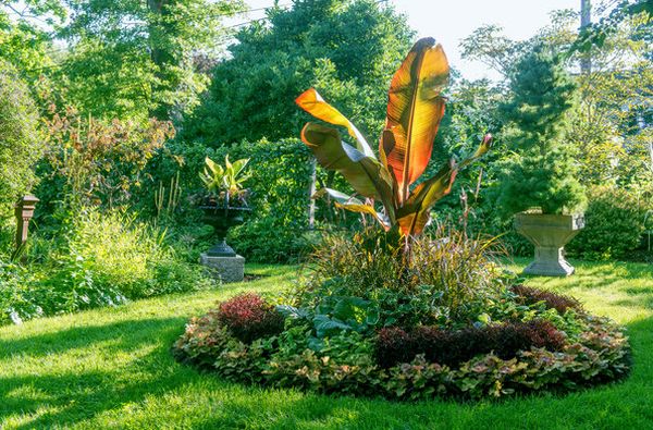 Connecticut Garten grün pflanze baum