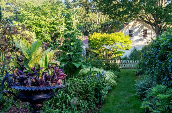 Connecticut Garten vielfalt grün pflanze