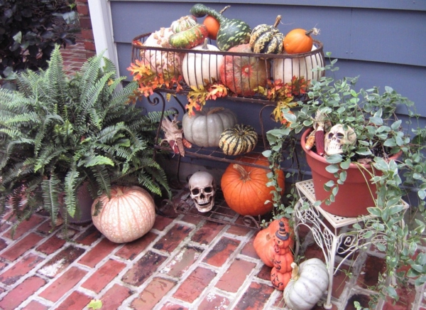 Halloween Dekoration Ideen kürbisse pflanzen schädel