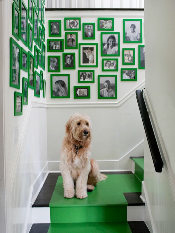 Interior Farben grün treppe bilder hund