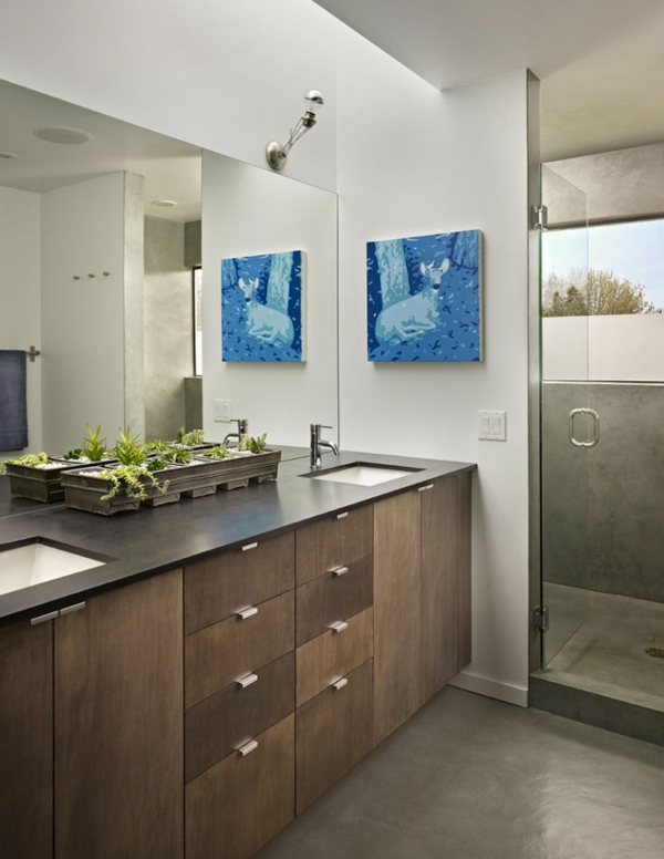 Residenz in Seattle Washington Kunstwerk bad waschbecken pflanze bild