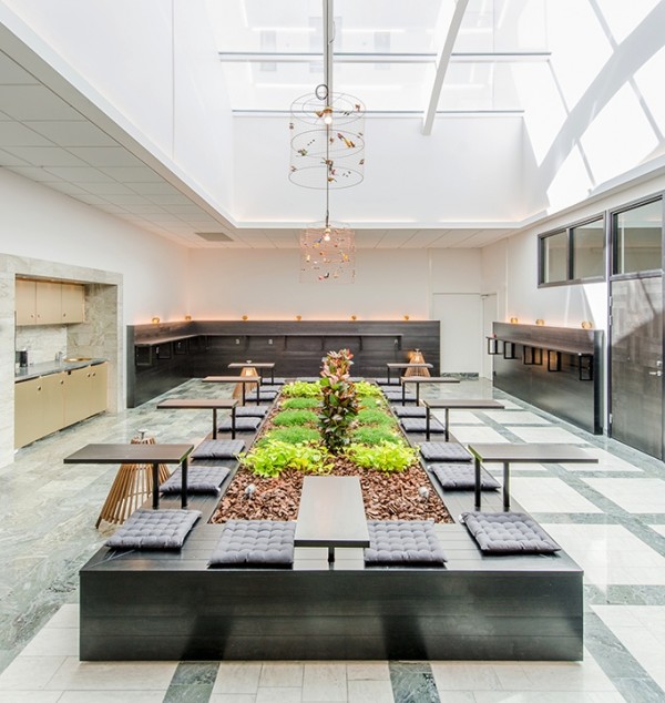 Schöne moderne Büro Renovierung Stockholm pflanzen leuchter sitze