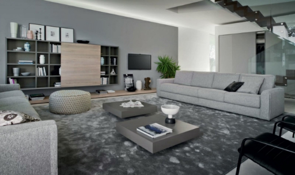 Wohnzimmer Design Ideen grau couch tisch regale teppich