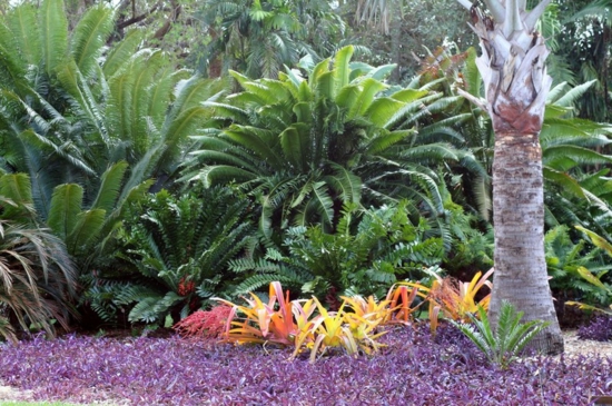 moderne gartengestaltung tropisch botanisch garten tipps