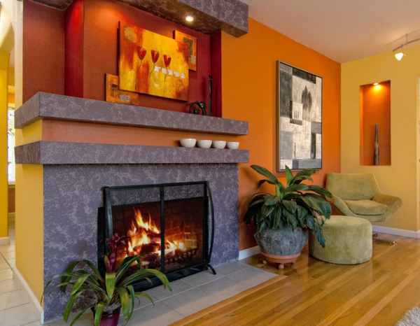 Hauspflanze mit perfekten Kommunikationseigenschaften orange sofa bild