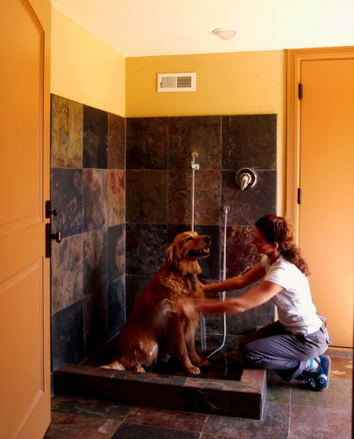 hundepflege tipps hunde bad waschen duschkabine