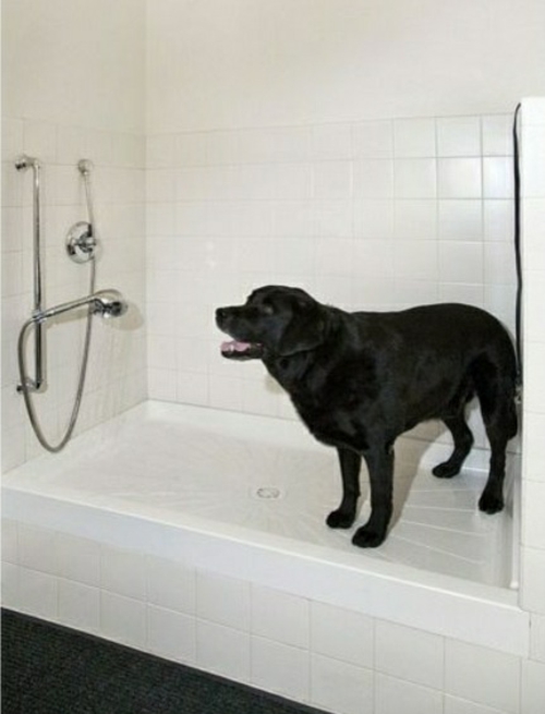 hundepflege tipps hunde bad waschen vorbereitung waschstation badewanne