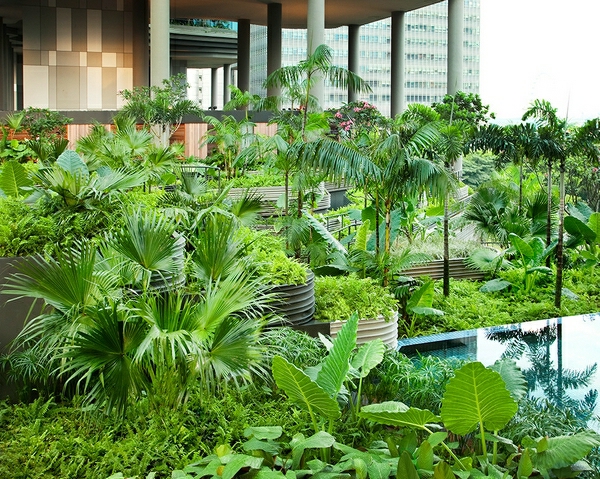 Hotel Singapur pflanzen palmen