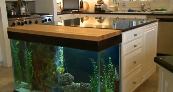 aquarium in die kücheninsel
