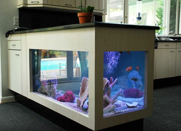 aquarium insel in die küche