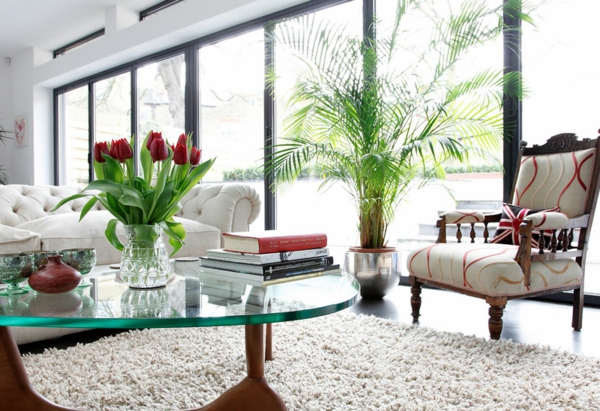 palmen fürs wohnzimmer frisch modern attraktiv