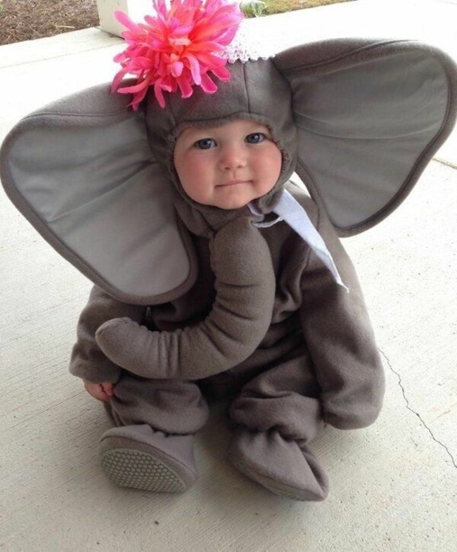 halloween verkleidungen kostüme baby halloween kostüm elefant