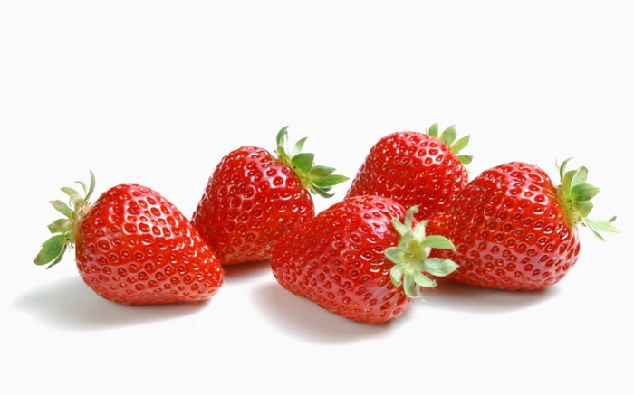erdbeeren aufbewahren frische erdbeeren lagern