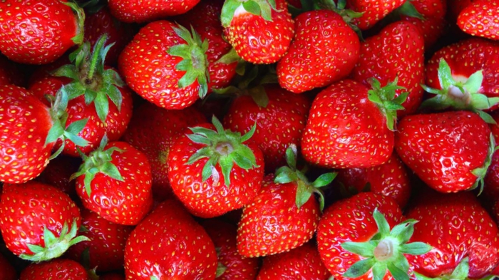 erdbeeren lagern obst gesund erdbeeren aufbewahren