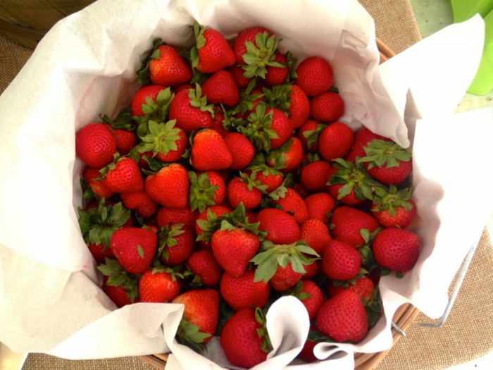 obst gesund erdbeeren aufbewahren