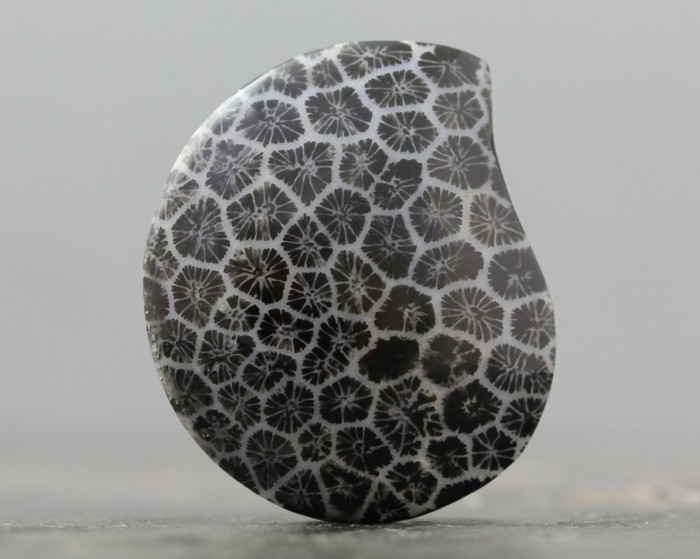schwarzer korallenstein edelsteine bedeutung