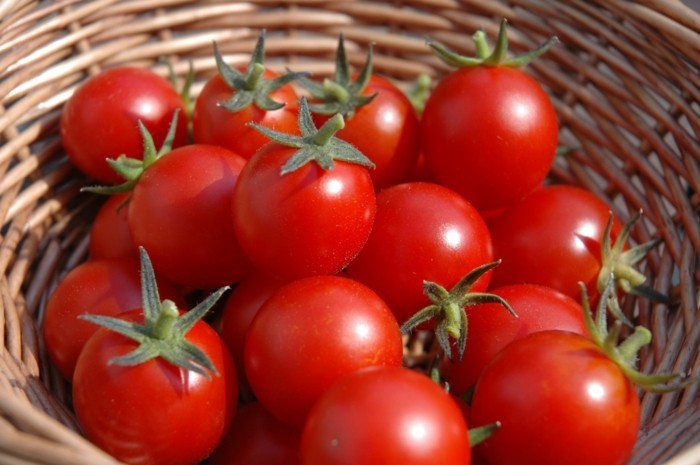 tomaten gegen sonnenbrand mittel gegen sonnenbrand