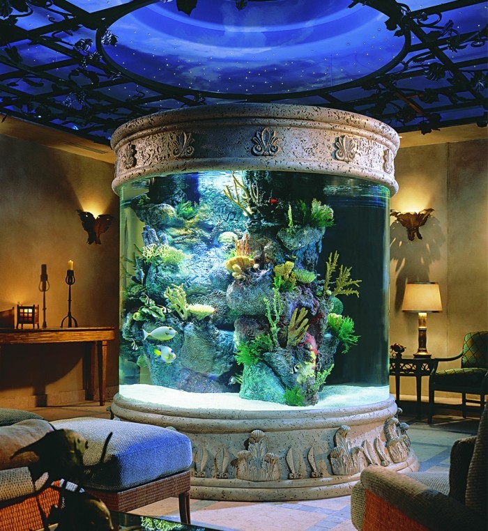 fisch aquarium deko aquarium aquarium steine