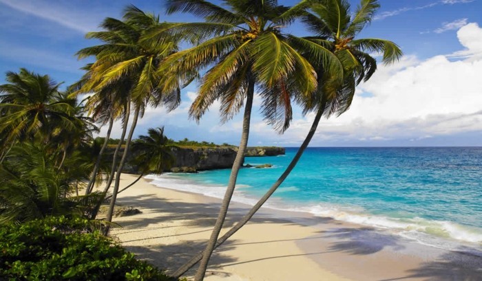 karibik barbados palmen strand ozean