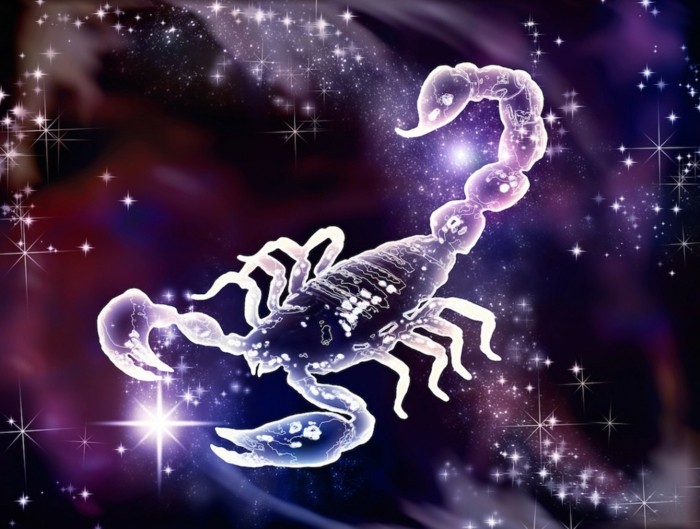horoskop skorpion designtrends zusammenhang