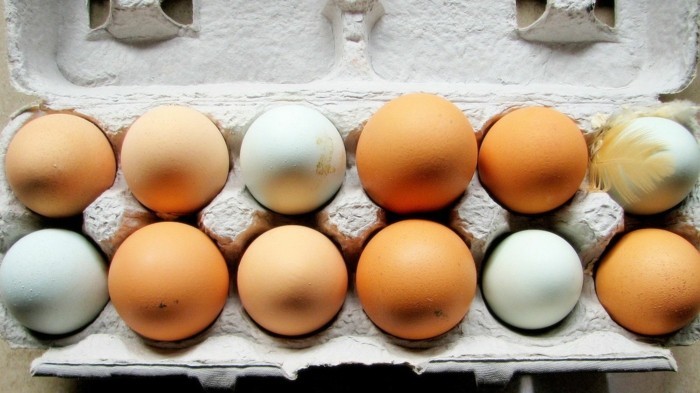 Hautpflege Tipps Lebensmittel eier