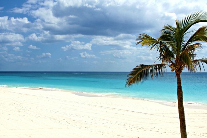 hochzeit hochzeitreiseziele Bermudas Wasser