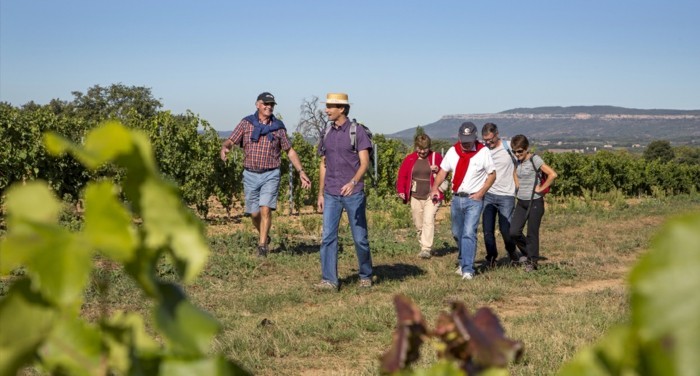 hochzeit hochzeitreiseziele Frankreich Provence lavendefelder Wein Spaziergang