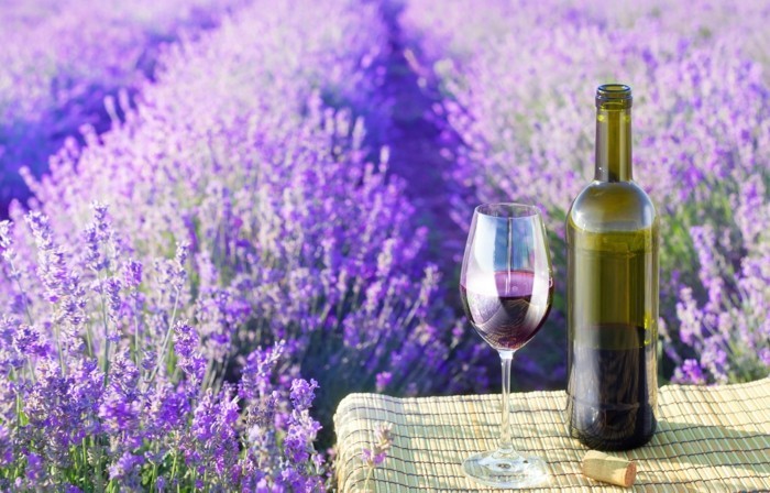 hochzeit hochzeitreiseziele Frankreich Provence lavendefelder Wein