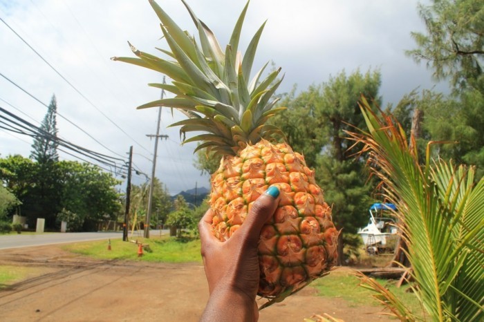 hochzeit hochzeitreiseziele Hawaii Waikiki Statd Maui Ananas Plantagen