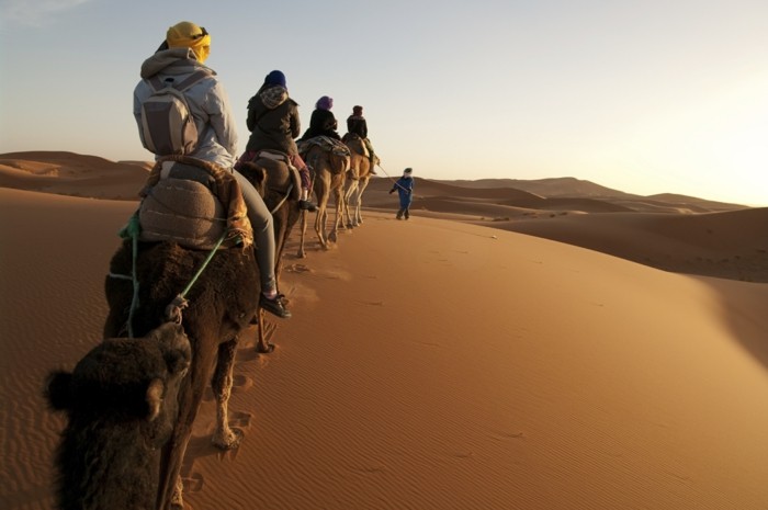 hochzeit hochzeitreiseziele Marokko kamelen Wüste