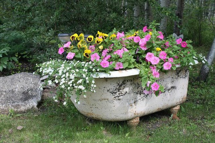 Alte Badewanne als Blumenbehälter