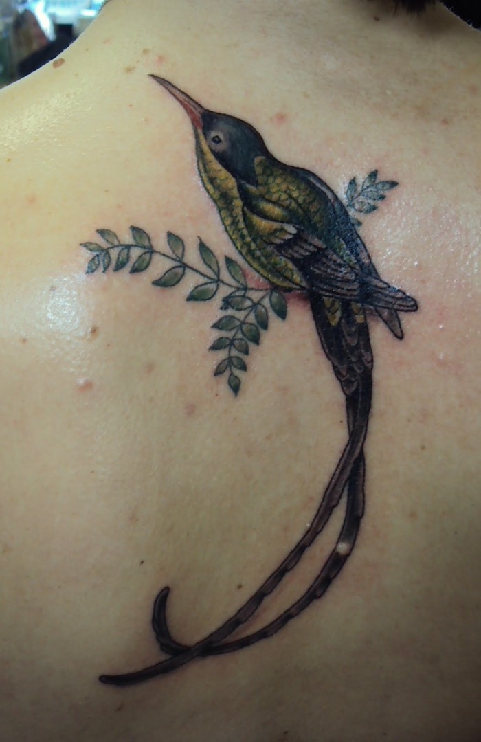 ausgelassene vogel tattoos