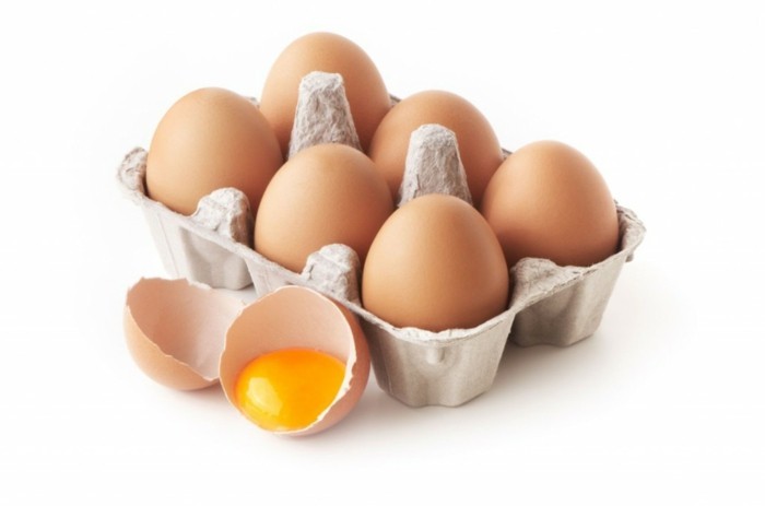 omelett frische eier haustemperatur