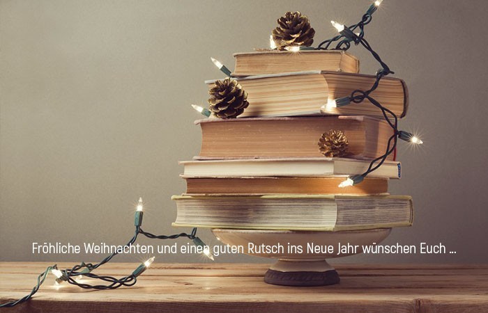 Glückwünsche zu Weihnachten Bücher lesen Lichtkette