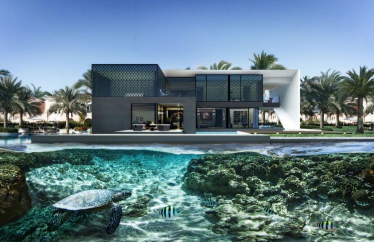 schwimmbad mit schildkröten und fischen - moderne architektur