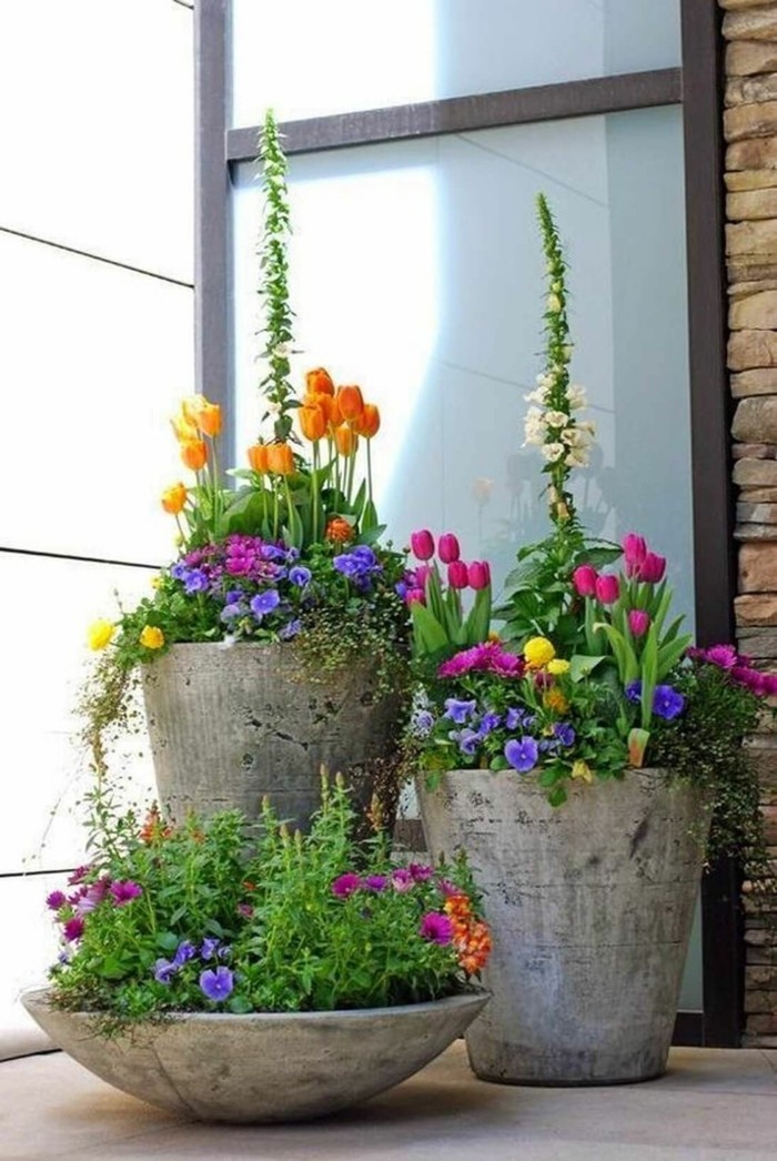 balkon bepflanzen topfen tulpen ynd narzissen